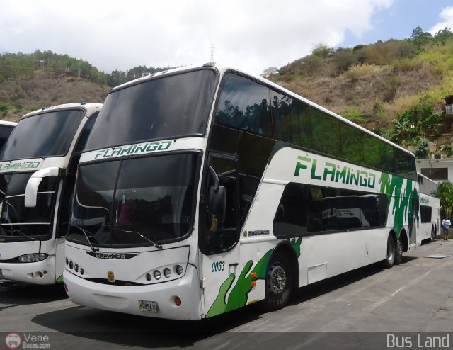 Expresos Flamingo 0063 por Waldir Mata
