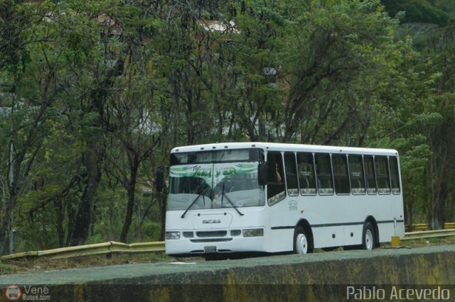 A.C. de Transporte Encarnaci�n 321 por Pablo Acevedo