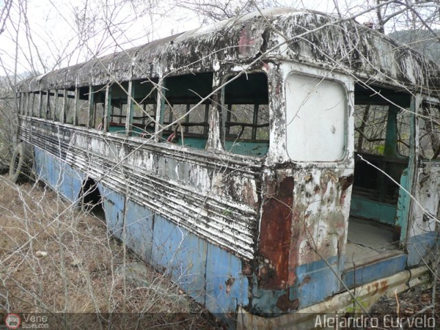 DC - Autobuses de El Manicomio C.A 10 por Alejandro Curvelo