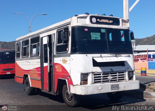 CA - Asociaci�n Coop. El Trigal R.L. 10 por Aly Baranauskas