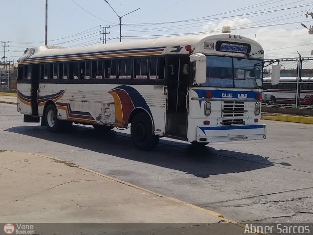 Colectivos Guasare C.A 35 por Abner Sarcos