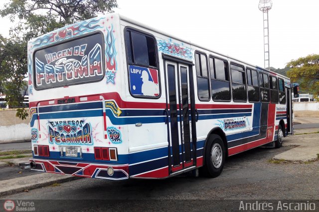 Expresos Pegamar 0010 por Andr�s Ascanio