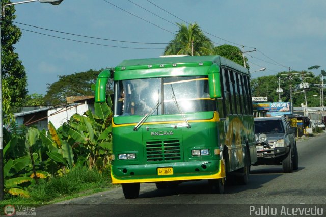 Particular NO USAR M�S 3688 por Pablo Acevedo