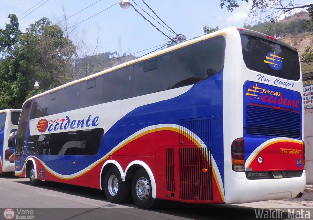 Expresos Occidente 242 por Waldir Mata