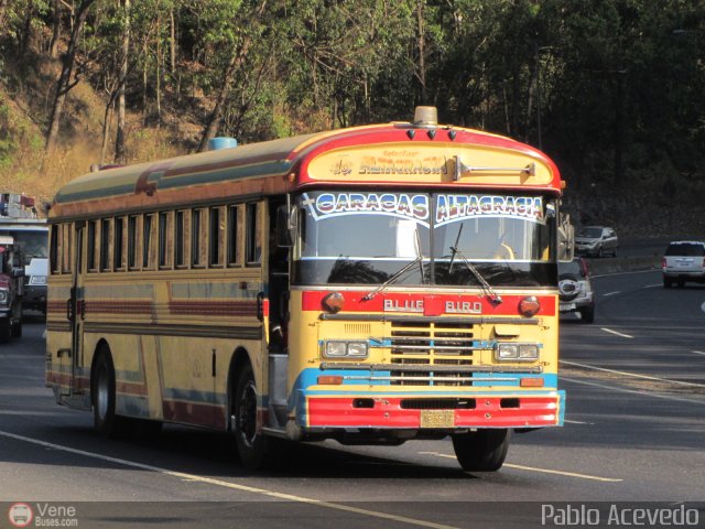 Colectivos Altagracia 18 por Pablo Acevedo