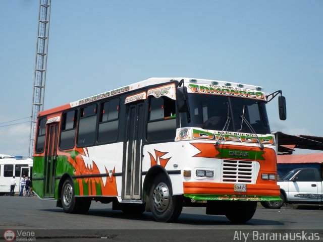 A.C. de Transporte Sol de Tamanaco 29 por Aly Baranauskas