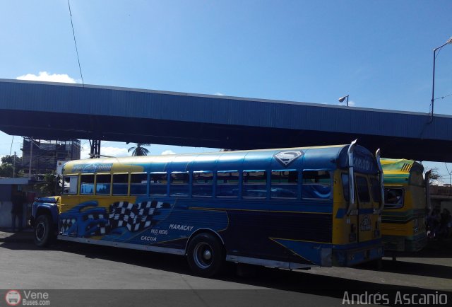 Transporte Colectivo Palo Negro 050 por Andrs Ascanio