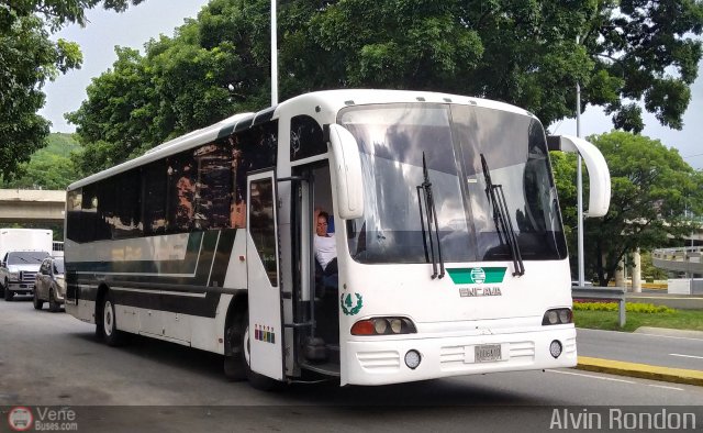 Servicios Especiales del Centro C.A. 04 por Alvin Rond�n