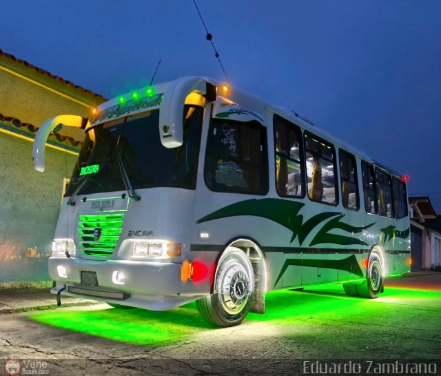 A.C. L�nea Mariscal 05 por Marcos David M�rquez