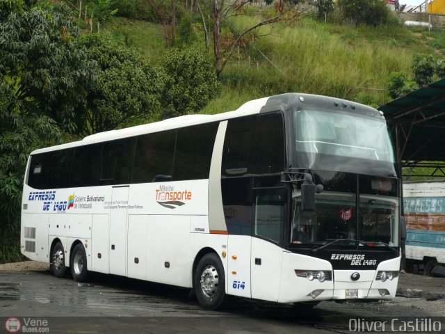 Expresos Del Lago 614 por Oliver Castillo