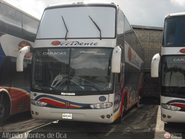 Expresos Occidente 385 por Alfredo Montes de Oca