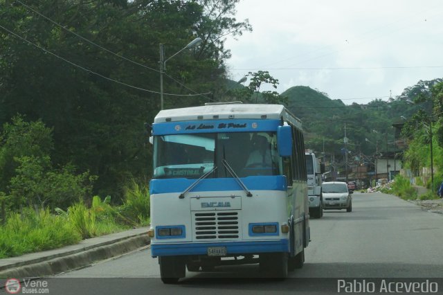 L�nea El Pi�al A.C. 63 por Pablo Acevedo