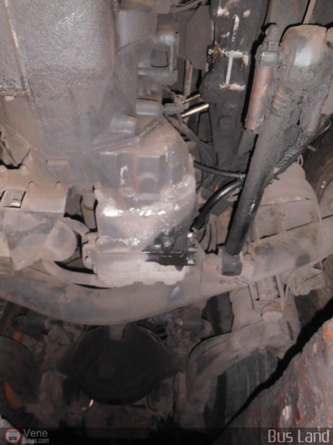 Particular o Desconocido 0343 por Waldir Mata