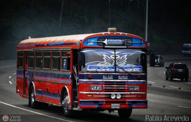 Transporte Palo Negro La Morita 2 113 por Pablo Acevedo