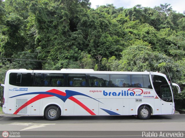 Expreso Brasilia 6514 por Pablo Acevedo