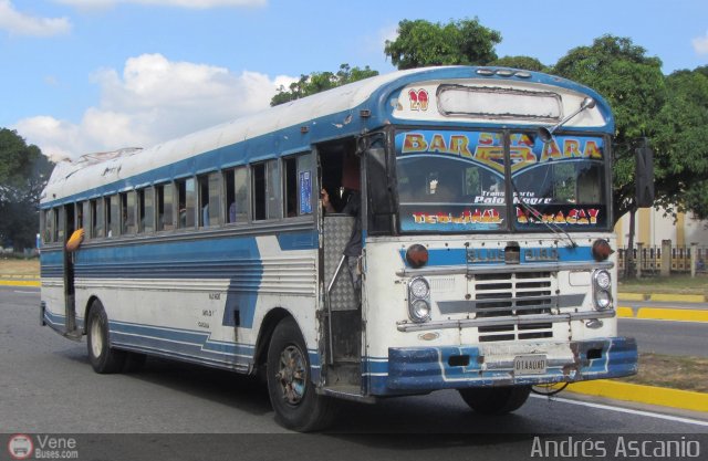 Transporte Colectivo Palo Negro 28 por Andrs Ascanio