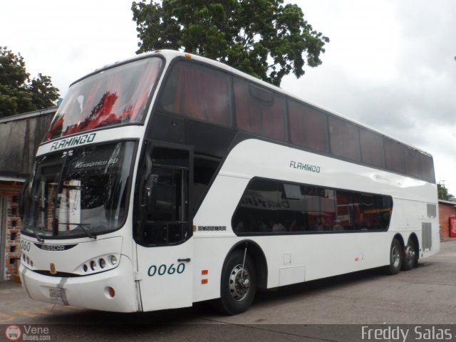 Expresos Flamingo 0060 por Freddy Salas