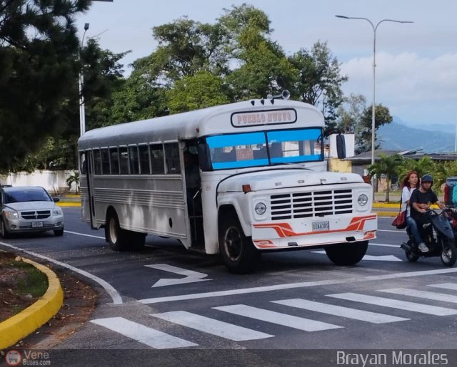 TA - Autobuses de Pueblo Nuevo C.A. 20 por Jerson Nova