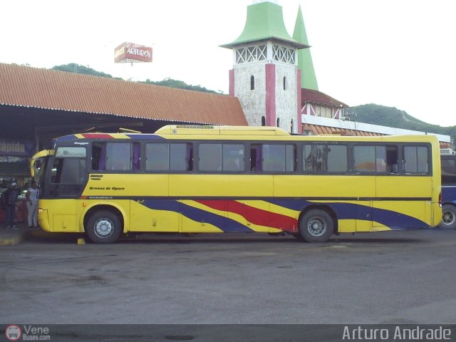 Bravos de Apure 03 por Arturo Andrade