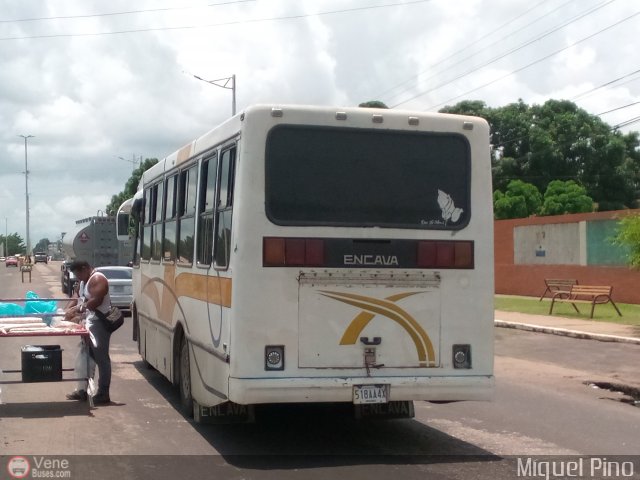 Particular o Desconocido 051 por Miguel Pino