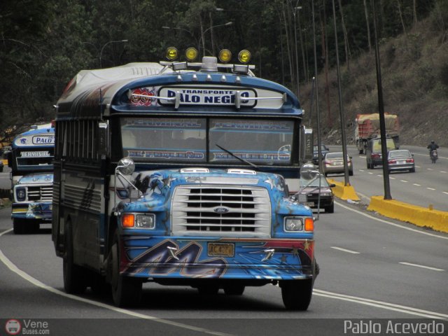 Transporte Colectivo Palo Negro 036 por Pablo Acevedo