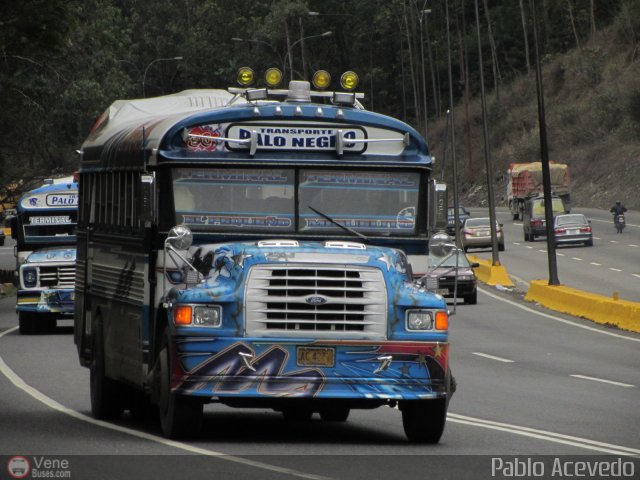 Transporte Colectivo Palo Negro 36 por Pablo Acevedo