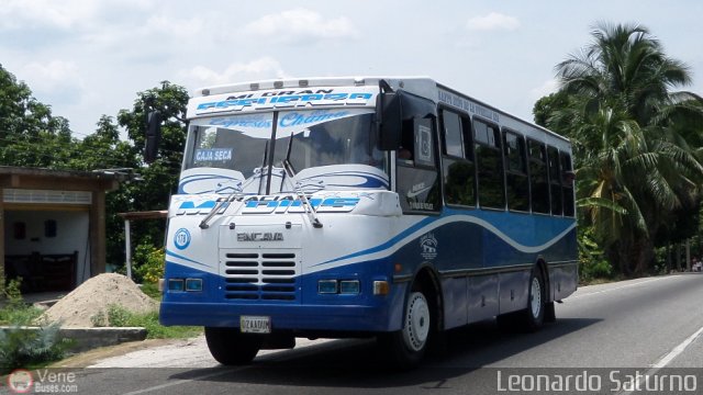 S.C. L�nea Transporte Expresos Del Chama 178 por Leonardo Saturno