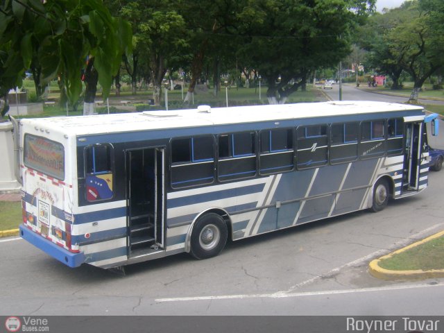 Transporte Taes 36 por Royner Tovar