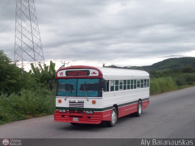 CA - Autobuses de Santa Rosa 19 por Aly Baranauskas