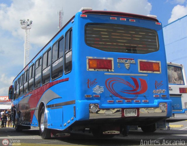 Particular NO USAR M�S 005 por Andr�s Ascanio