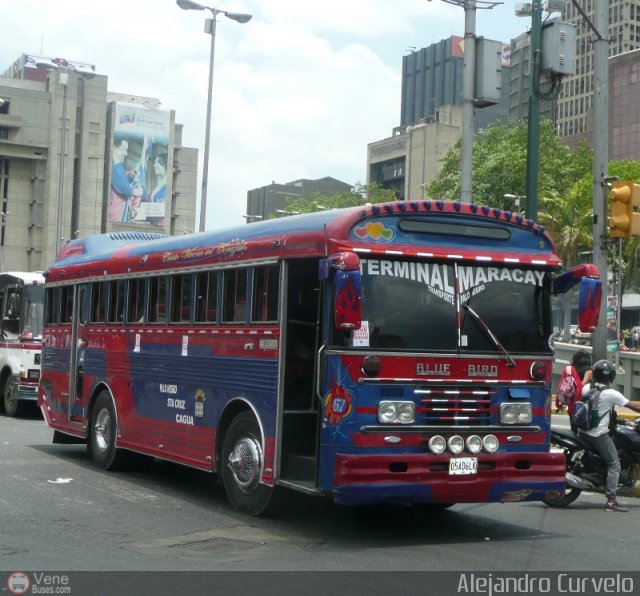 Transporte Colectivo Palo Negro 067 por Alejandro Curvelo