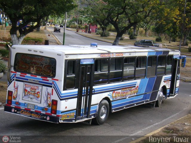 Transporte Taes 25 por Royner Tovar