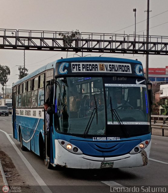 E.T. Pegasso Express S.A. 792 por Leonardo Saturno