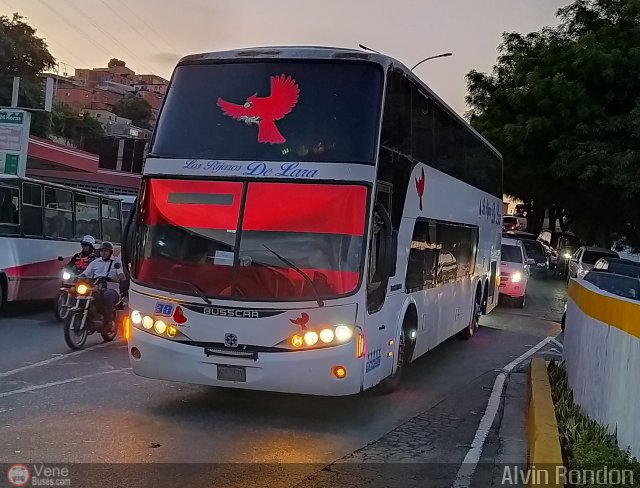 Los Pjaros de Lara 038 por Alvin Rondn