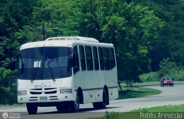 Particular o Desconocido Cagua por Pablo Acevedo