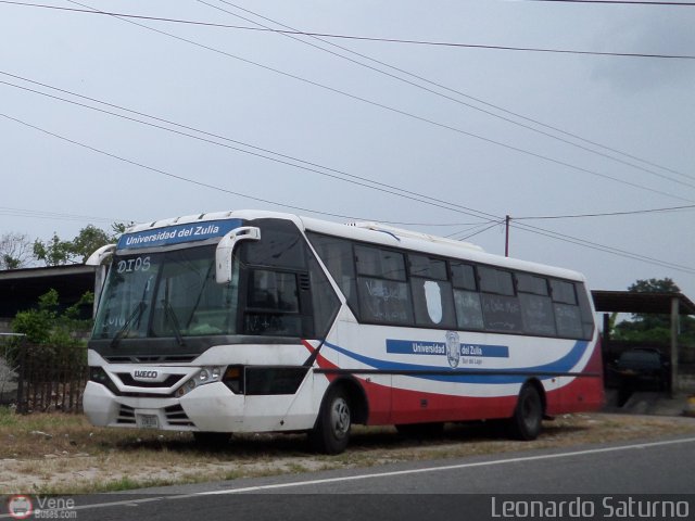 Universidad del Zulia - LUZ 100 por Leonardo Saturno