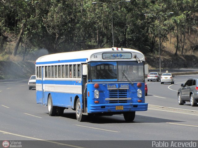 Universidad Sim�n Bol�var 08 por Pablo Acevedo
