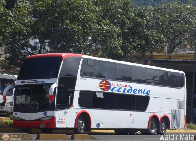 Expresos Occidente 337 por Waldir Mata