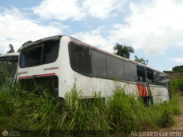 En Chiveras Abandonados Recuperacin AC1700 3 por Alejandro Curvelo