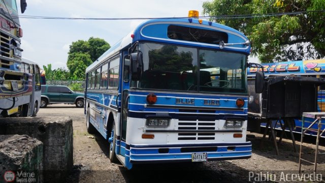 Transporte Frontera 10 por Pablo Acevedo