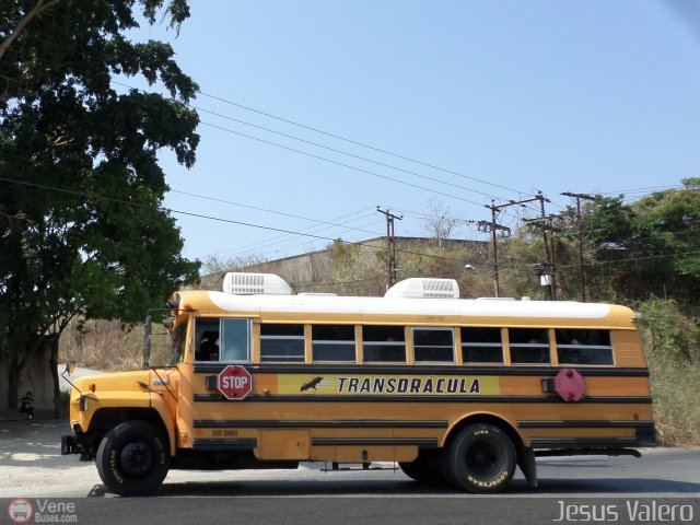 CA - TransDr�cula 198 por Jes�s Valero