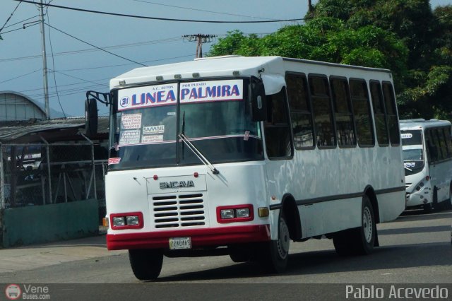 TA - A.C. Autos por puesto Lnea Palmira 031 por Pablo Acevedo