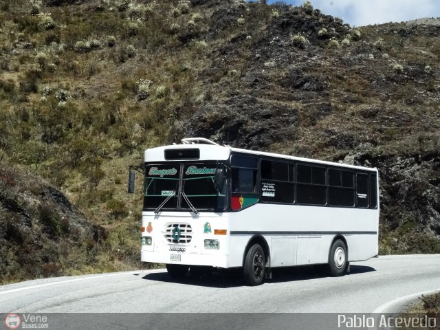 Transporte Barinas 021 por Pablo Acevedo