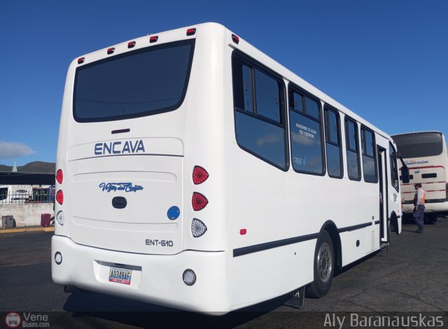 Transporte Virgen del Carmen 05 por Aly Baranauskas