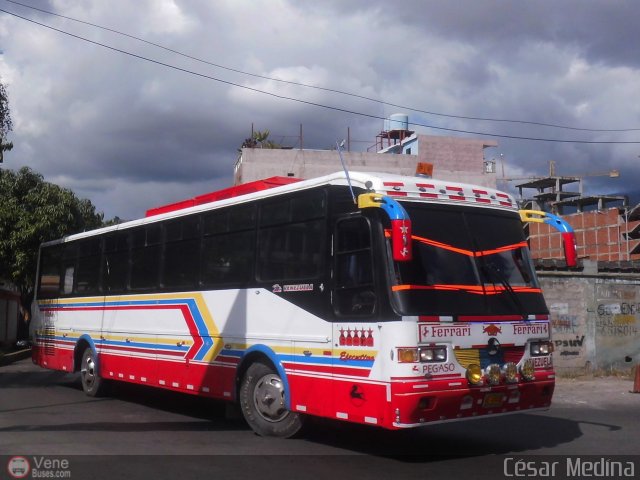 Particular o Transporte de Personal 990 por Waldir Mata