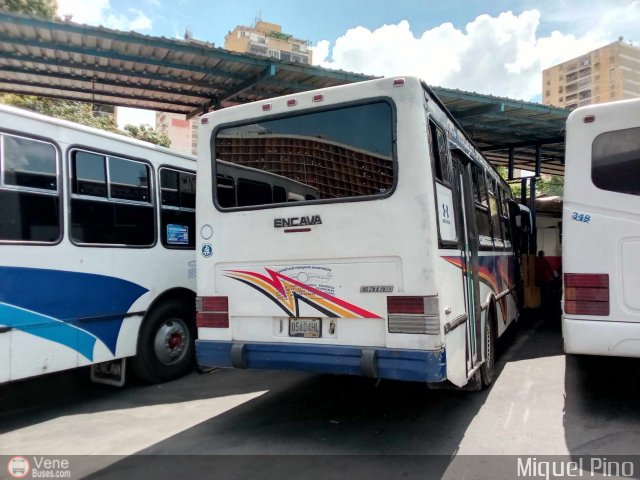 A.C. de Transporte Encarnaci�n 162 por Miguel Pino