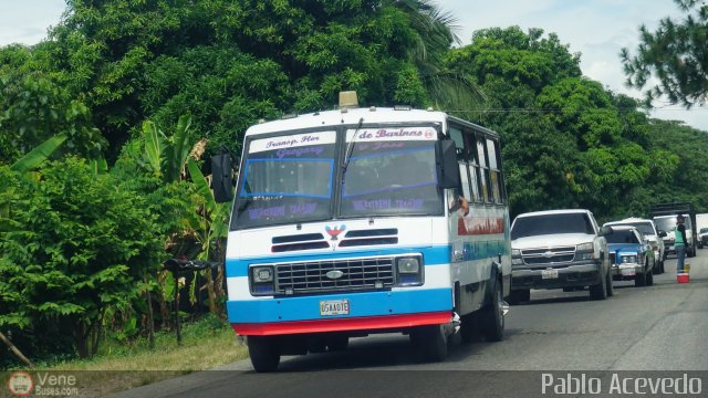 Transporte Flor de Barinas 09 por Pablo Acevedo