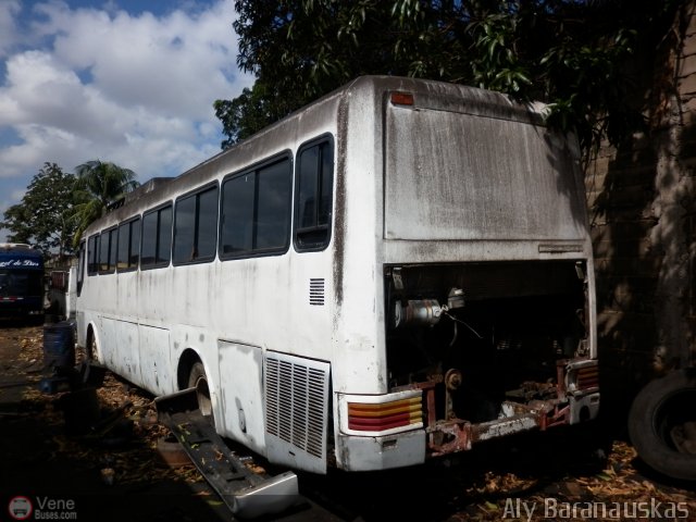 En Chiveras Abandonados Recuperacin 371 por Aly Baranauskas