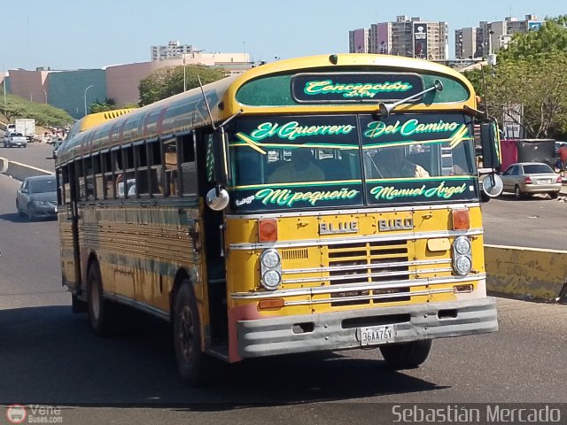 ZU - Colectivos Concepci�n 031 por Sebasti�n Mercado