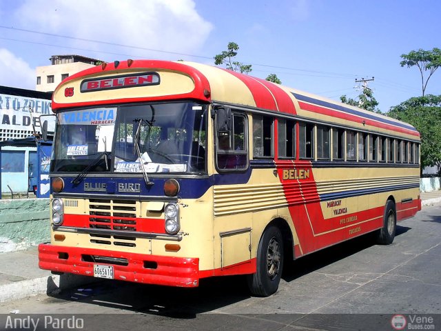 Transporte Belen 05 por Andy Pardo